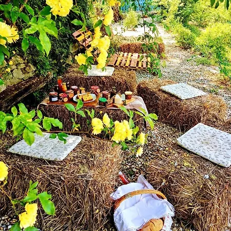 Krasberry Jezev Brlog Vakantieboerderij *