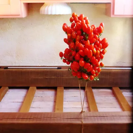 Κατάλυμα σε φάρμα Krasberry Jezev Brlog Komen