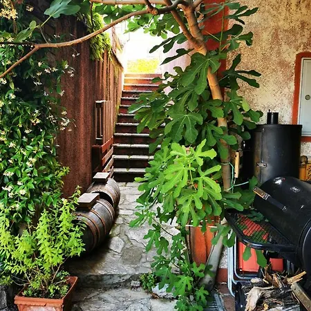 Krasberry Jezev Brlog Komen