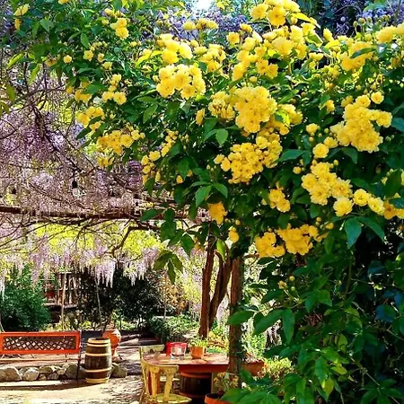 Krasberry Jezev Brlog Κατάλυμα σε φάρμα Komen