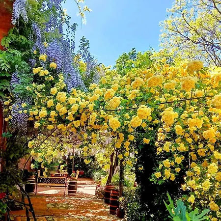 Krasberry Jezev Brlog *