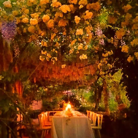 Krasberry Jezev Brlog *