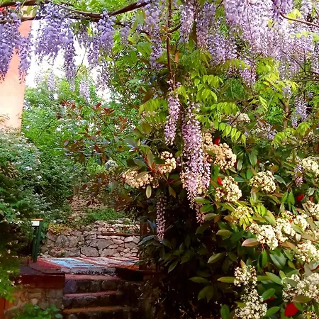 Krasberry Jezev Brlog Komen