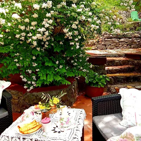 Krasberry Jezev Brlog * Komen