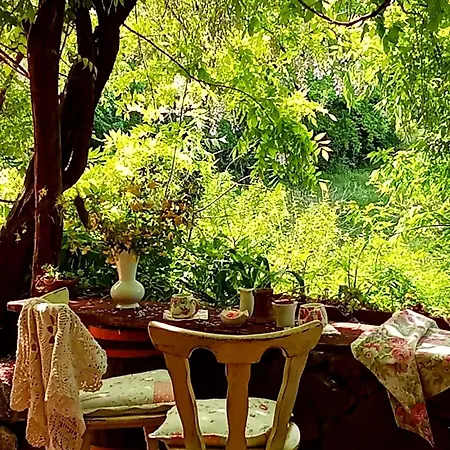 Krasberry Jezev Brlog