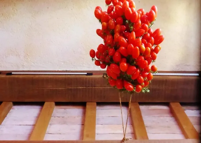 Alloggio per agriturismo Krasberry Jezev Brlog Komen