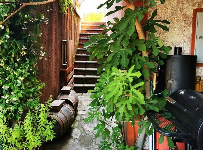 Krasberry Jezev Brlog Komen