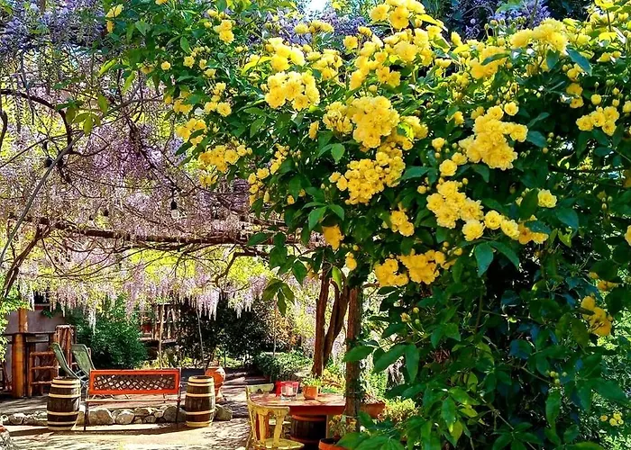 Krasberry Jezev Brlog Alloggio per agriturismo Komen