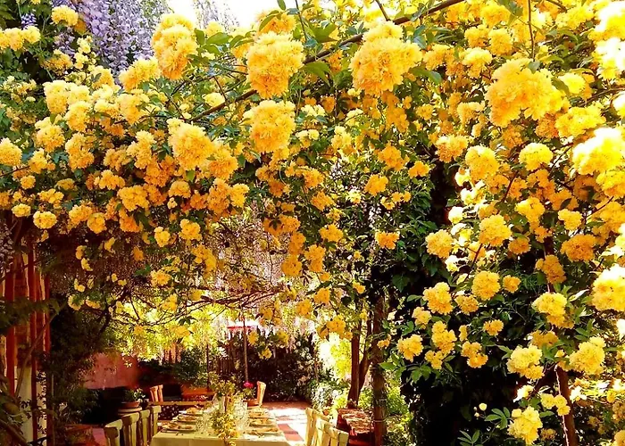 Krasberry Jezev Brlog Alloggio per agriturismo *