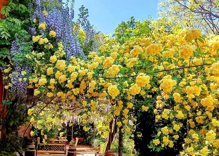 Krasberry Jezev Brlog *