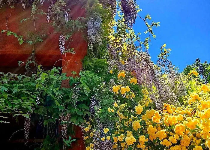 Krasberry Jezev Brlog Alojamento de Turismo Rural Komen