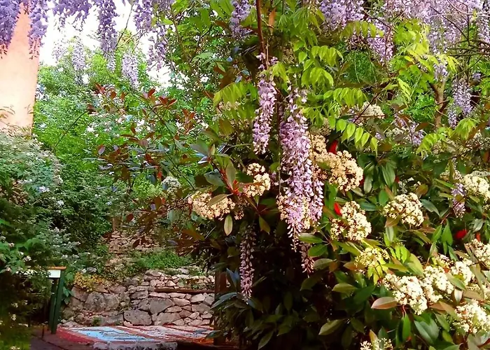 Krasberry Jezev Brlog Komen