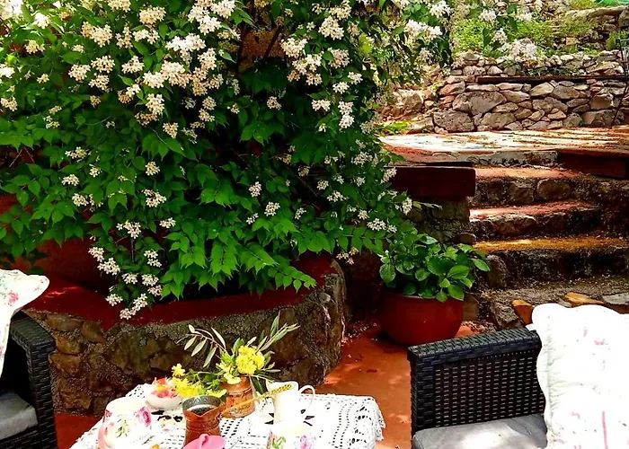 Krasberry Jezev Brlog * Komen